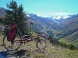 spectacular-view-at-the-timber-line